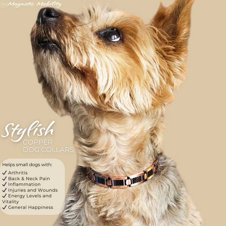 Valerian Copper Necklace for Dogs and Cats
