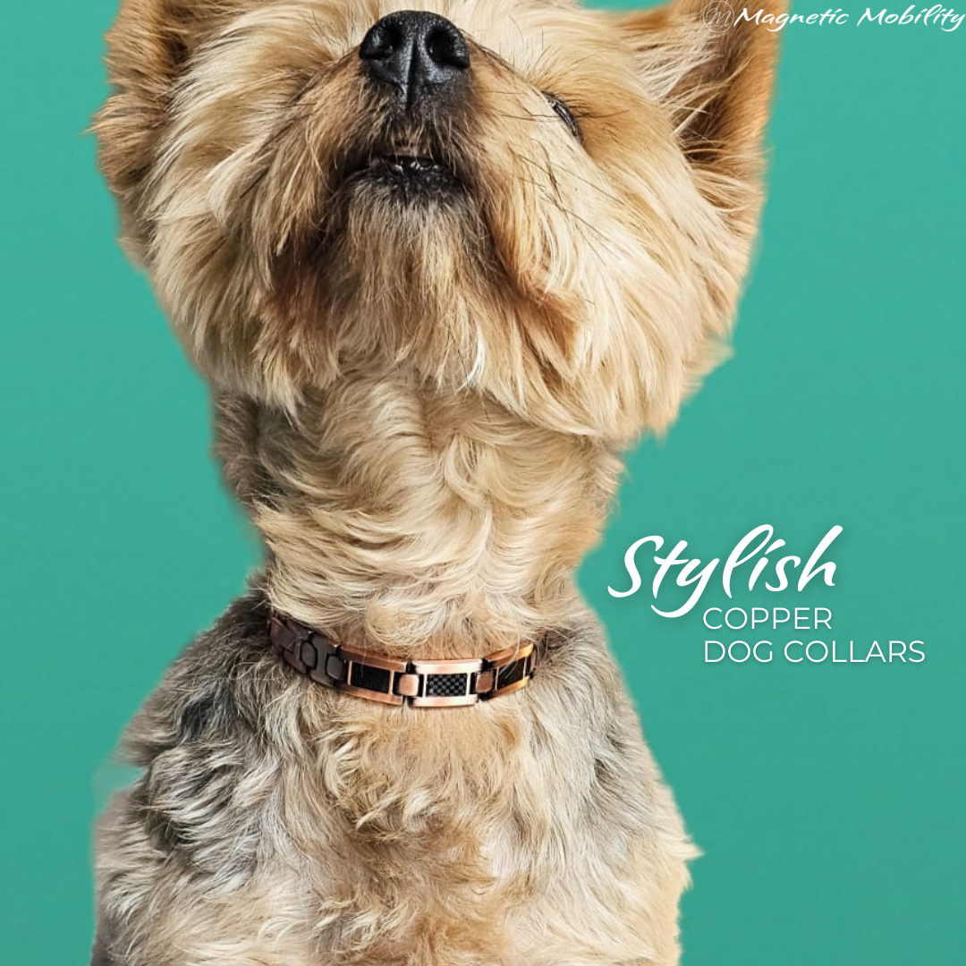 Valerian Copper Necklace for Dogs and Cats