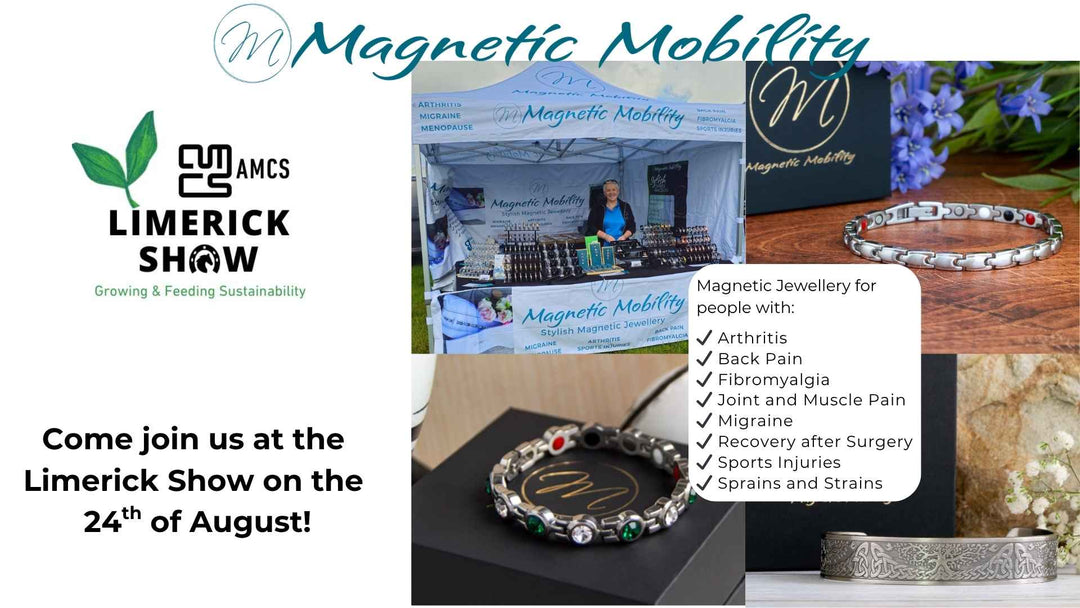 Image of Magnetic Mobility exhibiting at the Limerick Show