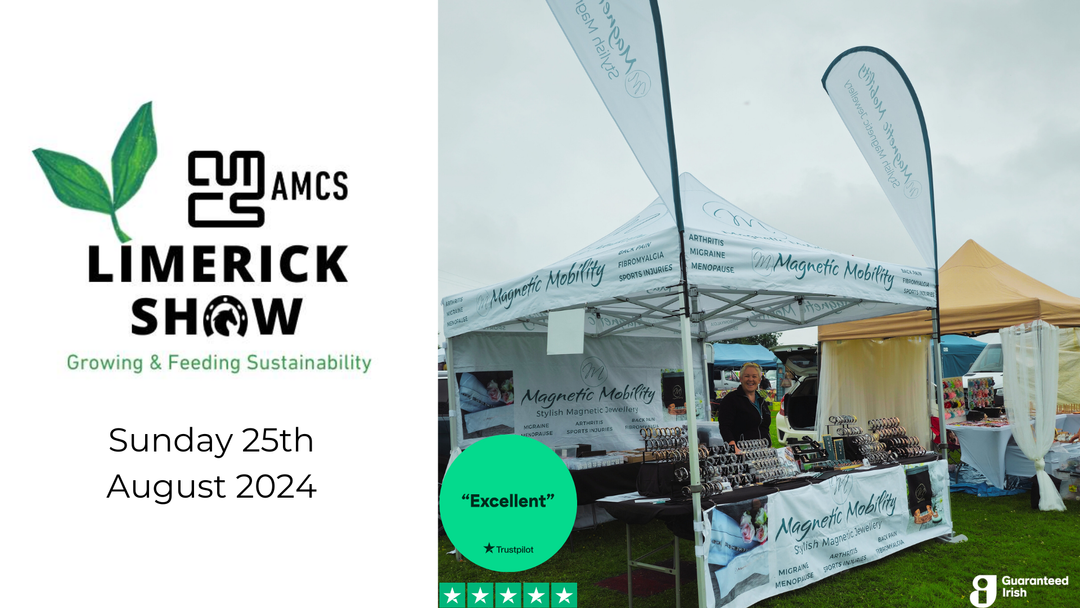 Join Magnetic Mobility at the Limerick Show!